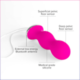 Perifit | Original Kegel Exerciser