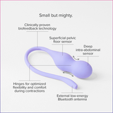 Perifit+ | Dynamic Kegel Exerciser